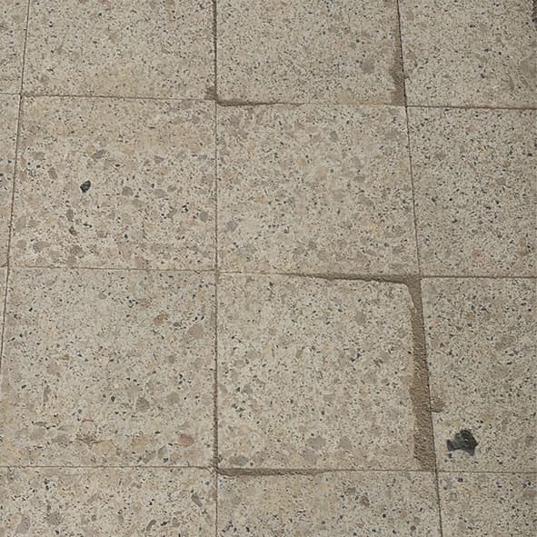 تسنين في البلاط